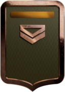 25