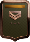 40