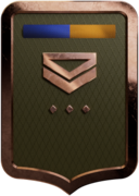 41