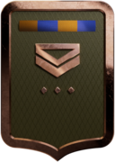 43